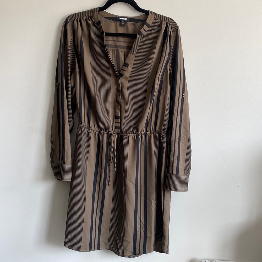 Stripe Express Dress
